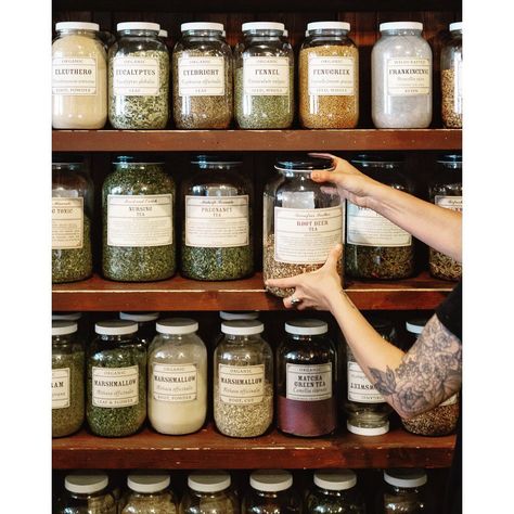 Apothecary Pop Up Shop, Apothecary Esthetics, Herbal Shelf, Naturopathy Clinic, Herbal Dispensary, Herbal Apothecary Aesthetic, Apothecary Pantry, Herbal Business, Apothecary Store