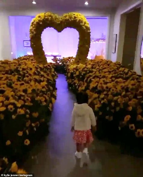 Kylie Jenner receives a sea of sunflowers on Valentine's day...possibly from ex Travis Scott Jenner House, Pink Onesie, Old Makeup, Circular Mirror, Rose Arrangements, Covered Strawberries, Chocolate Covered Strawberries, Valentines Day Party, Floral Display