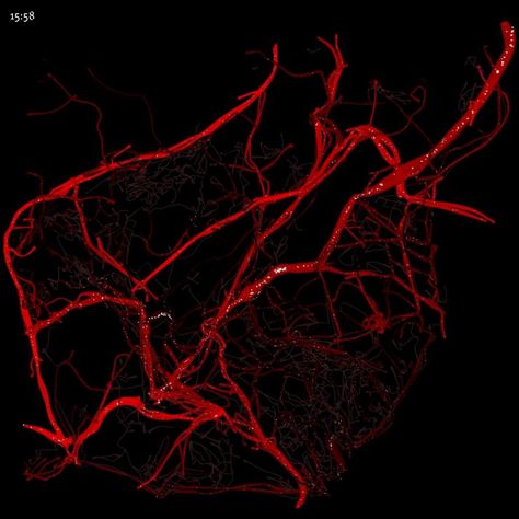 Vein Aesthetic, Abo Blood Group System, Inside Human Body, Blood Clotting, Computational Design, Red Veins, Winter Words, Creative Poster Design, A Level Art