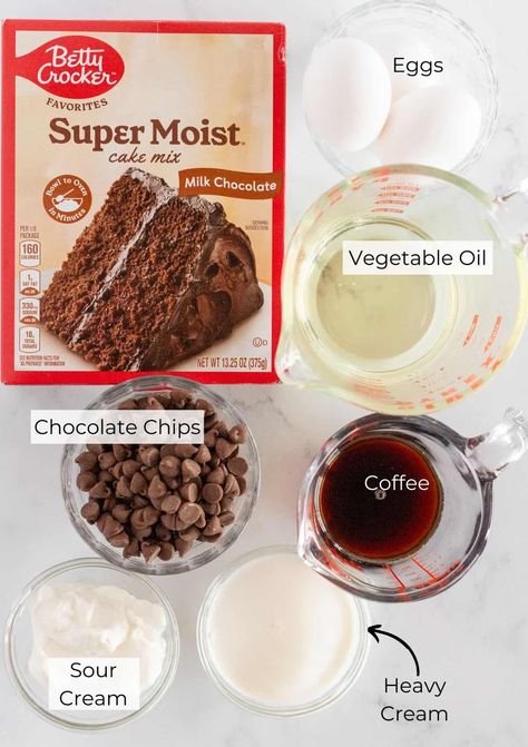 Easy Mini Chocolate Bundt Cakes with a Cake Mix - Practically Homemade Chocolate Crumb Cake Recipe, Mini Chocolate Bundt Cakes, Boston Cream Pie Poke Cake, Chocolate Bundt Cakes, Practically Homemade, Chocolate Crackles, Double Chocolate Cake, Crumb Cake Recipe, Cake Calories