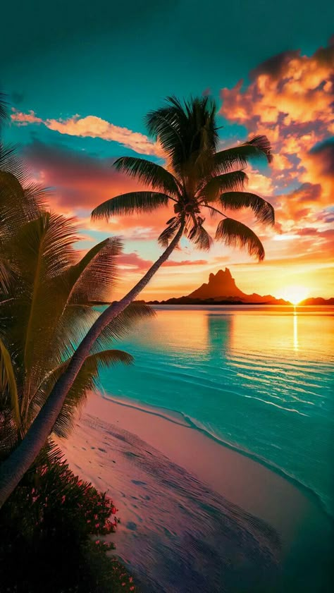 Beach At Sunset, Palm Trees, The Beach, Trees, Sun