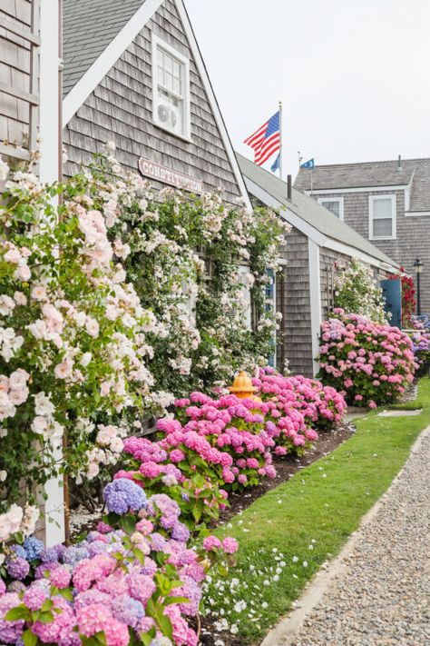 Mackenzie Horan, Cape Cod Aesthetic, Nantucket Style Homes, Nantucket Summer, Nantucket Wedding, Design Darling, Nantucket Style, Backyard Movie Nights, Weekend Reading