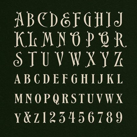 Gothic fonts from Ephemera: EFCO Songster and extras, including two sets of flourishes and 19th Century Typography, 19th Century Graphic Design, Fall Fonts Alphabet, Earthy Typography, Antique Font, Vintage Fonts Alphabet, Typography Composition, Victorian Fonts, Collegiate Font