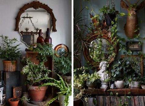 Plant House Aesthetic, Dark Academia Room, Victorian Room, Academia Room, Brooklyn Home, Witchy Room, Plant House, Plant Room, Casa Vintage