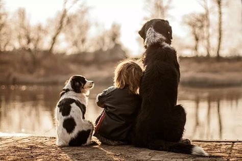 Family Dog Photos, Diy Chat, Heartwarming Photos, Photos With Dog, Dog Photoshoot, Boy Dog, Dogs And Kids, Animal Hospital, Family Dogs