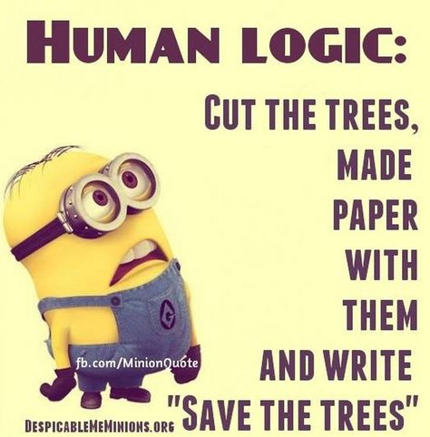 Minion Memes, Funny Minion Pictures, Funny Minion Memes, Minion Jokes, A Minion, Funny Disney Jokes, Funny Texts Jokes, Funny School Jokes, Weird Quotes Funny