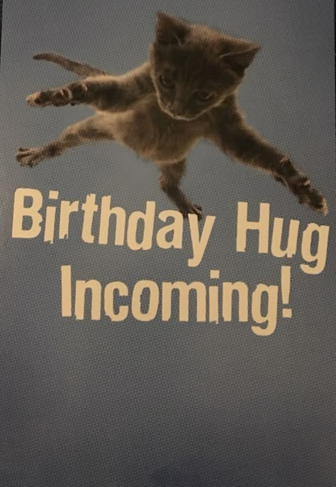 Funny Birthday Greetings, Funny Happy Birthday Quotes, Heartfelt Birthday Wishes, Happy Birthday Cat, Birthday Hug, Birthday Wishes Pics, Birthday Greetings Funny, Funny Happy Birthday Wishes, Birthday Greetings Friend