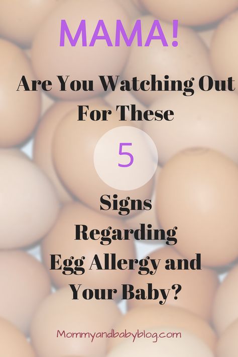 What To Watch Out For Regarding Egg Allergy in Babies.  Mama, are you watching out for these signs in your baby. This post will give you some signs of egg allergy and allergies in babies and what to look out for. Egg intolerance is also something to watch out for as well. Take note of these egg allergy signs. Egg Allergy Recipes Kids, Egg Allergy Symptoms, Egg Allergy Recipes, 8 Month Old Baby Food, Egg Alternatives, Egg Lunch, Baby Breakfast, Egg Allergy, Kids Allergies