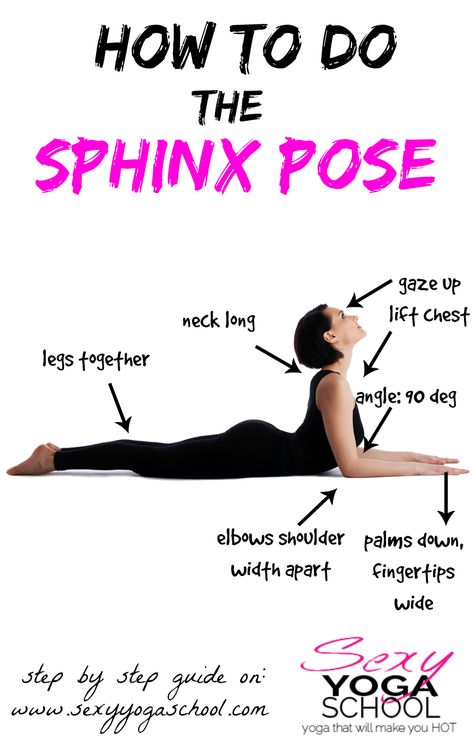 Sphinx Pose Yoga Sphinx Pose, Basic Yoga Poses, Triangle Pose, Forward Fold, Yoga Techniques, Yoga Beginners, Sup Yoga, Yoga Times, Yoga School