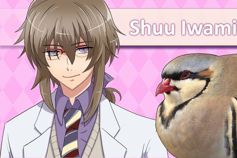 What would it be like to date a pigeon? Hatoful Boyfriend, Manga Guys, Lets Be Cops, Character Types, Shall We Dance, Weird News, Funny Birds, Ps4 Games, Science Fiction Tv