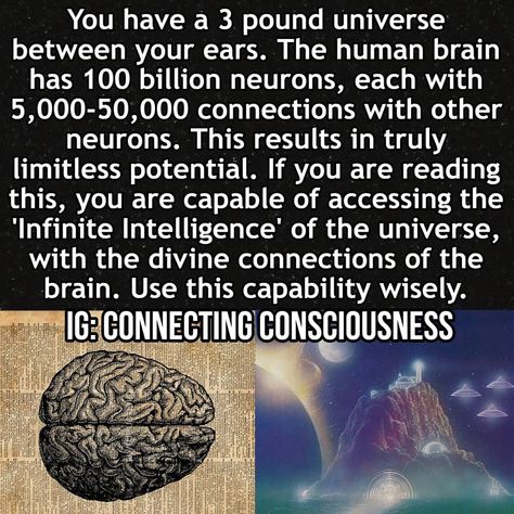 ⠀⠀ CONNECTING CONSCIOUSNESS on Instagram: “With our brain, we have a connection to source, the universe, infinite intelligence, and more. _ Discoveries like the periodic table for…” Connecting Consciousness, Infinite Intelligence, Great Minds Discuss Ideas, Aura Reading, Pranic Healing, Metaphysical Spirituality, The Periodic Table, Energy Healing Spirituality, Divine Connections