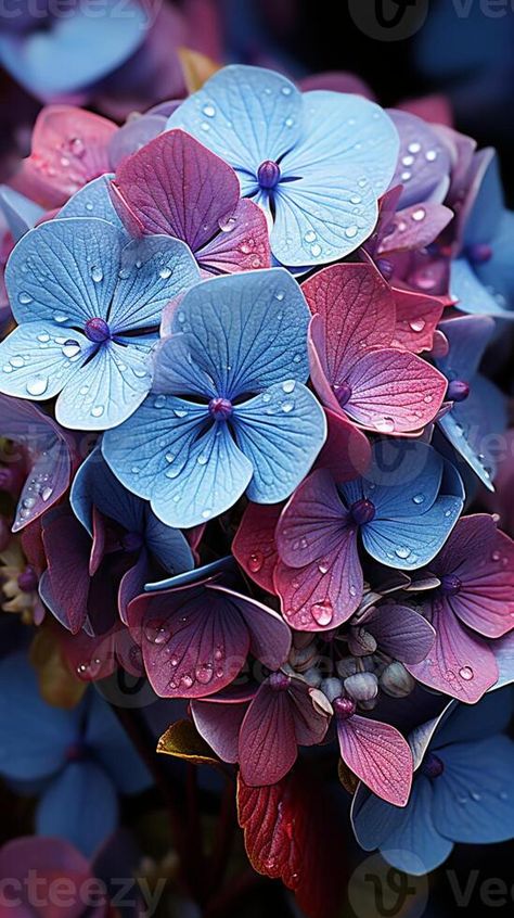 AI generated Hydrangea blue flower natural floral from farmland Dark Blue Hydrangea, Hydrangea Blue, Rain Art, Cityscape Photos, Logo Banners, Blue Hydrangea, Nature Backgrounds, Heart With Arrow, Custom Illustration