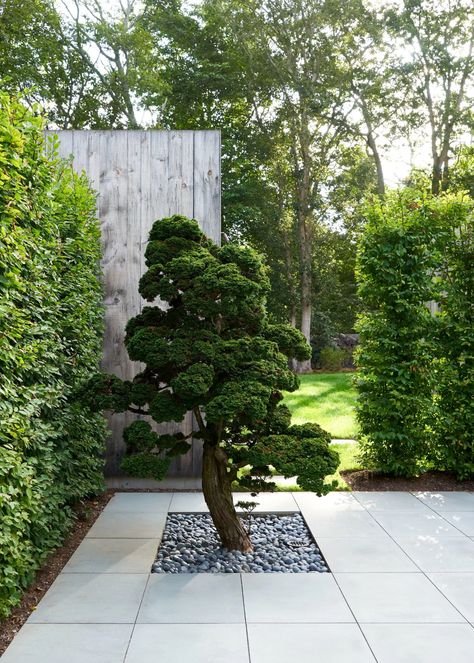 Amagansett House, Green Roof Planting, Roof Plants, Museum Garden, Hinoki Cypress, Nature Museum, Living Museum, Cypress Trees, Green Roof