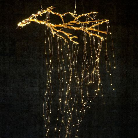 Cascading lights that cast a soft, welcoming glow whenever they go. Solar Tree, Empty Picture Frames, Funny Vine, Cascade Lights, Christmas Lights Outside, Twinkle String Lights, Cascade Falls, Christmas House Lights, Driftwood Lamp