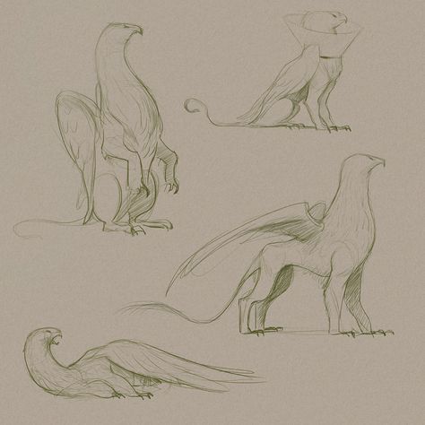 by Max Kostenko Griffin Pose Reference, Griffin Drawing, Griffin Mythical, Human Creatures, Fantastic Beasts 2, Random Aesthetics, Art Help, Figure Reference, Fantasy Drawings