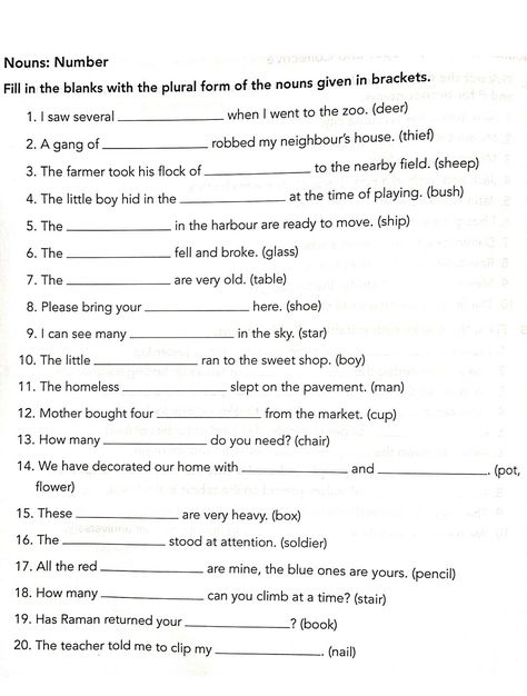 Noun number Nouns Grade 3 Worksheets, Noun Numbers Worksheet, Noun Worksheet For 5th Grade, Nouns Worksheet Grade 3, Gender Worksheet, English Teacher Lesson Plans, Gender Words, Nouns Exercises, Speaking Activities English