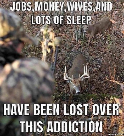 Hunting Meme, Have A Good Saturday, Funny Hunting Pics, Hunting Quotes Funny, Deer Hunting Humor, Hunting Jokes, Whitetail Hunting, Hunting Videos, Whitetail Deer Hunting