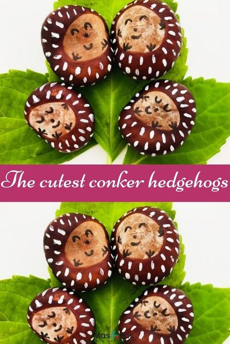 Conkers Craft, Afternoon Crafts, Hedgehog Craft, Cute Hedgehog, Fall Crafts For Kids, Autumn Crafts, Childrens Crafts, Hedgehogs, Nature Crafts