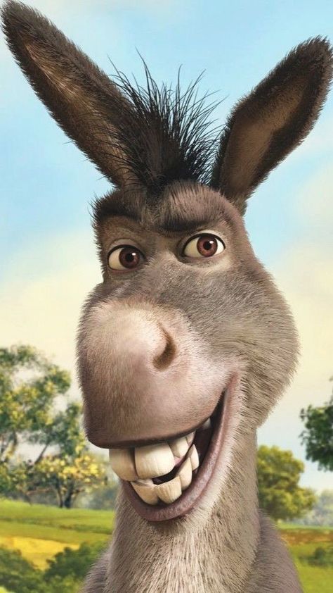 I chose a picture of Donkey from ‘Shrek’ because he is very chatty and annoys the impatient ogre with his remarks. Funny Hear Me Out Characters Real, Shrek Donkey Funny, Here Me Out Characters Funny, Good Hear Me Outs, Hear Me Put Characters, Hear Me Outs Characters, Hear Me Out Characters Funny, Funny Hear Me Out Characters, Hear Me Out Cake Characters Funny