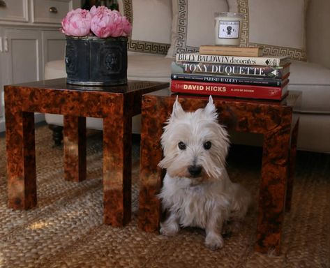 The linen sofa behind the pair of faux tortoise shell end tables is topped with a trio of Greek Key trimmed pillows. Shell Interior Design, Shell Furniture, Burled Wood Table, Tortoise Care, Wood Tables, Diy Couch, Coffee Table Decor, Faux Painting, Burl Wood