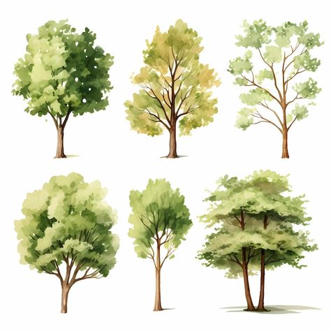 Trees Clipart, Garden Clipart, Summer Trees, Tree Clipart, Illustration Botanique, Watercolor Tree, Tree Graphic, Colorful Trees, Watercolor Trees