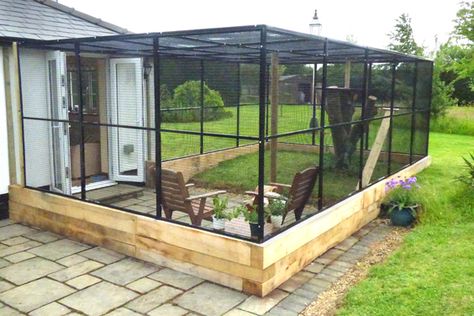 Catio Katt Diy, Katt Grejer, Cat Patio, Outdoor Cat Enclosure, Cat Run, Outdoor Cat House, Enclosed Patio, Outdoor Cat, Cat Cages