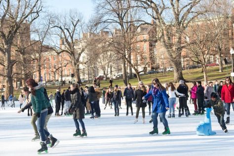 1. Go ice-skating on the Frog Pond in Boston. Activities To Do With Friends, Frog Pond, Christmas Things To Do, Emerson College, Things To Do In Boston, To Do In Boston, Boston Things To Do, Boston Common, School Vacation