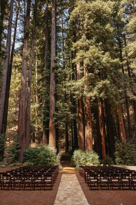 Weddings • Waterfall Lodge & Retreat: Laid-back, luxury wedding & event destination in the Redwoods — Waterfall Lodge + Retreat Outdoor Wedding Pine Trees, Wedding Venues Forest Woods, Pacific Northwest Wedding Venues, Wedding Ceremony Venue Ideas, Wedding In Redwoods, Simple Wedding In The Woods, Forest Wedding Venues Oregon, Affordable Mountain Wedding, Wedding In Pine Trees