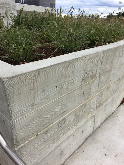 Board Form Concrete Retaining Wall, Board Formed Concrete Retaining Wall, Concrete Wall Outdoor, Formed Concrete Wall, Pocket Prairie, Board Form Concrete, Concrete Wall Covering, Board Formed Concrete Wall, Formed Concrete