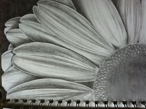 My flower drawing Drawing Ideas Inspiration, Ks3 Art, Graphite Art, Flower Sketches, Art And Craft Design, Random Image, Sketchbook Inspiration, Sketch Painting, Black And White Drawing