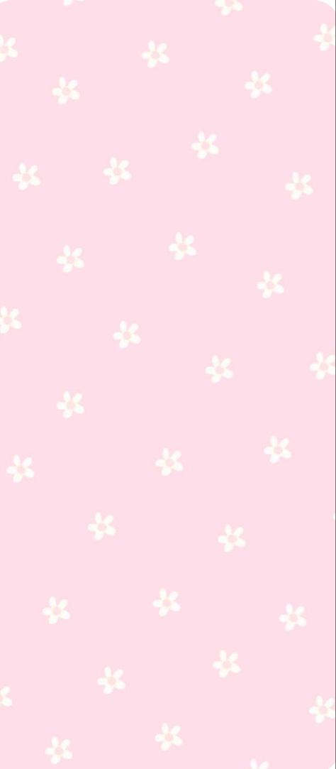 White Daisy Wallpaper, Pink Daisy Wallpaper Aesthetic, Daisy Wallpaper Room, Daisies Background Wallpapers, Light Pink Daisy Wallpaper, Daisy Background, Red Daisy, Daisy Wallpaper, Pink Daisy