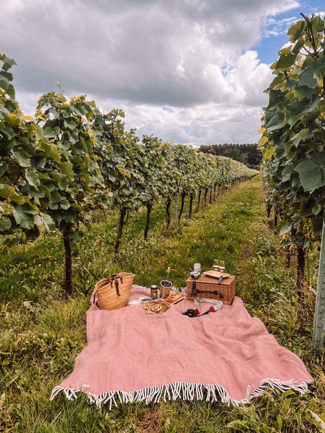 Vineyard Picnic, Grape Picking, Picnic Inspiration, Picnic Date, A Picnic, Party Party, Country Life, Grape Vines, Vines