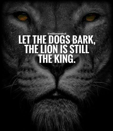 Missing Family Quotes, Leo Quotes, Lion Quotes, King Quotes, Wolf Quotes, Motivation Positive, Top Quotes, Warrior Quotes, Joker Quotes