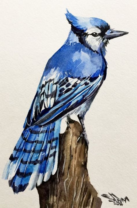 Paintings Of Birds Acrylic, Blue Jay Painting, Blue Bird Painting, Blue Jay Art, Cardinal Birds Art, Bird Painting Acrylic, Blue Bird Art, Blue Jay Bird, Acrylic Painting Inspiration