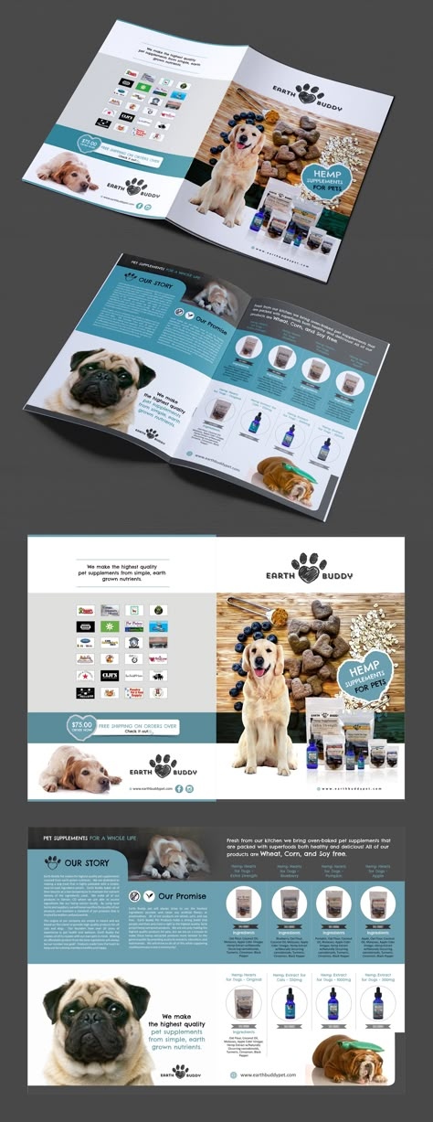 Pet Catalogue Design, Pet Brochure, Leaflet Ideas, Product Booklet, Magazine Page Design, Magazine Design Layout, Food Catalog, Advertisement Ideas, Pet Magazine