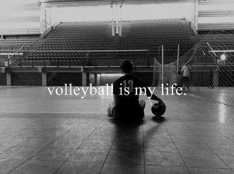 Volleyball is my life. Volleyball Drawings, Volleyball Tumblr, Volleyball Drawing, Volleyball Jokes, Volleyball Motivation, Volleyball Memes, Volleyball Wallpaper, Volleyball Humor, Volleyball Inspiration