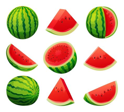 Resist Printing, Watermelon Vector, Watermelon Clipart, Watermelon Illustration, Inspo Drawings, Illustration Fruit, Fish Poster, Watermelon Art, Summer Coloring