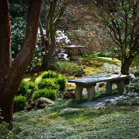 Seattle Japanese Garden bench and lantern Japanese Garden Bench, Japanese Garden Bench Design, Japanese Garden Sitting Area, Japanese Garden Island, Japanese Garden Tea House, Japanese Park, Seattle Japanese Garden, Garden Storage Bench, Japanese Tea Garden San Francisco