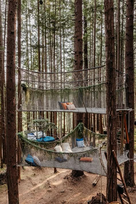 Rooms With Hammocks, Hammocks In Trees, Tree Net Hammock, Tree House Camping, Tree Netting Hammock, Tree House Vacation, Hammock In Forest, Hammock In Trees, Hammock In Woods