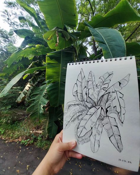 Freehand banana leaves sketch . . . . . . #pensketch #doodleleaves #outdoorsketching #banana Freehand Sketching, Leaves Sketch, Canvas Art Painting Abstract, Art Painting Abstract, Banana Leaves, Pen Sketch, Banana Leaf, Painting Abstract, Canvas Art Painting