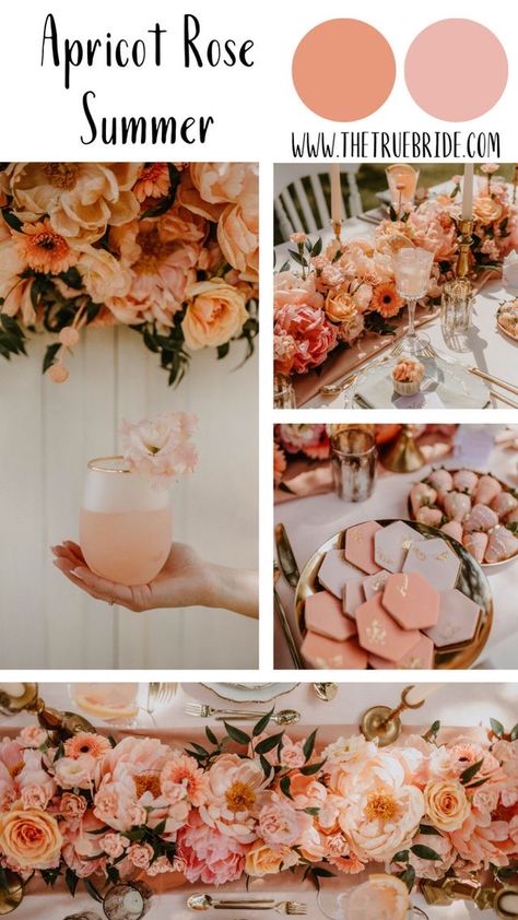 May Color Schemes Wedding, Rust Peach Wedding, Shades Of Peach Wedding, Dusty Peach Wedding, Apricot Crush Wedding Theme, Vintage Wedding Design, Apricot Rose Wedding, Peachy Wedding Colors, Desert Pastel Wedding