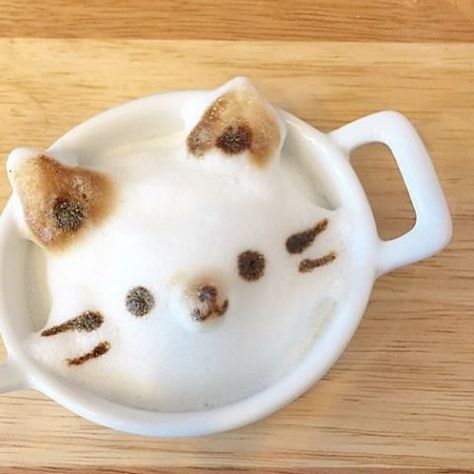 Coffee Kisses, Barista Training, Coffee Latte Art, Training Ideas, Cat Cafe, Kawaii Food, Beautiful Coffee, Cute Desserts, Coffee Design