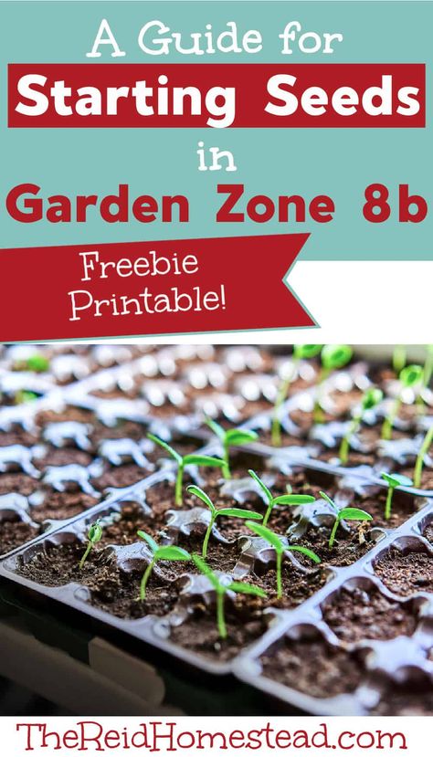 Seed Starting Schedule, Seed Starting Calendar, When To Start Seeds, Zone 8b, Winter Vegetables Gardening, Gardening Zones, Starting Seeds Indoors, Backyard Vegetable Gardens, Zone 5