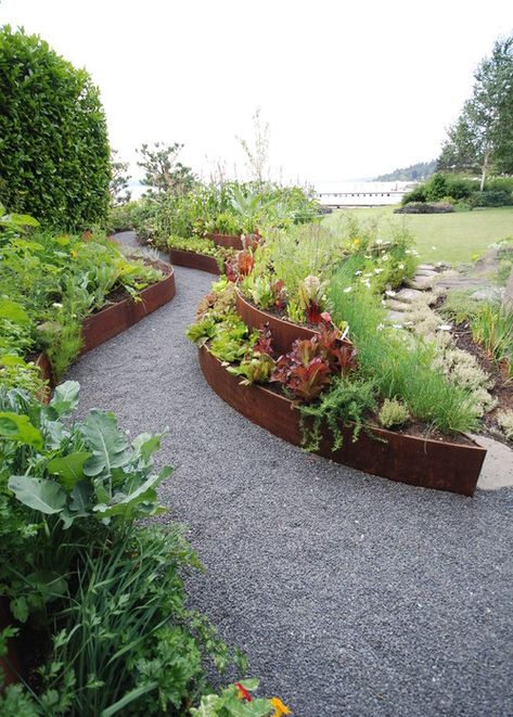 WHAT GARDENS WILL LOOK LIKE IN 2016 | The Impatient Gardener Steel Garden Edging, Cheap Garden, Edging Ideas, Flower Garden Design, Lawn Edging, Large Backyard, Contemporary Garden, Vegetable Garden Design, Garden Edging