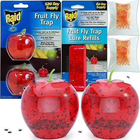 Fruit Fly Traps for Indoors by Raid | 2 Lures + 2 Refills | Effective Fruit Fly Trap for Indoor Use | Fruit Fly Killer & Gnat Traps for House Indoor | Easy to Use & Safe Food-Based Lure Fly Catcher House Fly Traps, Best Fly Trap, How To Kill Gnats, Fruit Fly Catcher, Fruit Fly Killer, Gnat Trap, Fruit Fly Traps, Fly Infestation, How To Get Rid Of Gnats