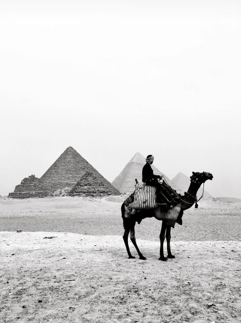 Egyptian Poster, Egypt Poster, Graphic Design Images, Old Egypt, Egyptian Pyramids, Pyramids Of Giza, Arabic Art, Book Images, Pretty Horses