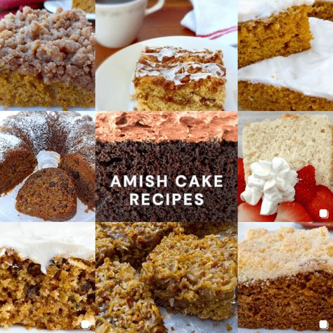 Amish Cake, Shoofly Cake, Cakes Made From Scratch, Fat Cakes Recipe, Holiday Fruit Cake, Low Fat Cake, Date And Walnut Cake, Cake Recipes Easy, Cake Carrot