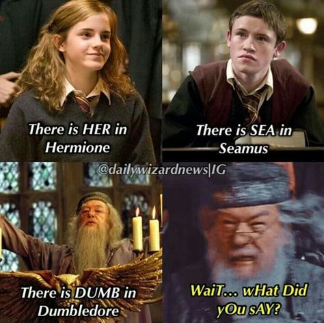 Citate Harry Potter, Glume Harry Potter, Funny Harry Potter Jokes, Harry Potter Memes Hilarious, Harry Potter Feels, Harry Potter Puns, Harry Potter Images, Images Harry Potter, Harry Potter Comics