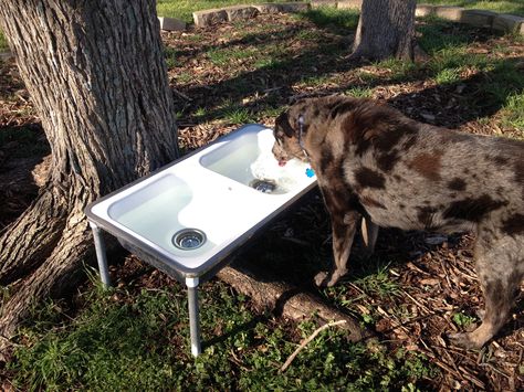 Big dog water bowl.  Easy to clean and waters the trees when draining/changing out the water. Dog Water Trough, Dog Station, Dog Water Bowl, Dog Feeding Station, Doggie Daycare, Animal Ideas, Dog Water Bowls, Dog Kennel Outdoor, Cemetery Flowers