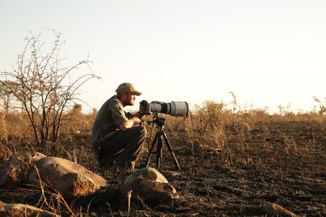 Photography Job Aesthetic, Wildlife Filmmaking, Photography Job, Job Aesthetic, Photographer Inspiration, Photography Jobs, Wildlife Photographer, Nature Photographer, Profile Page